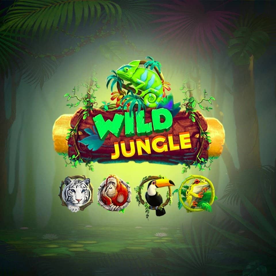 bet365.com jogos
