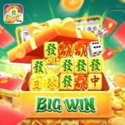 166bet com app